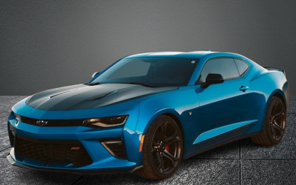 A cropped, square image of a dog's face.