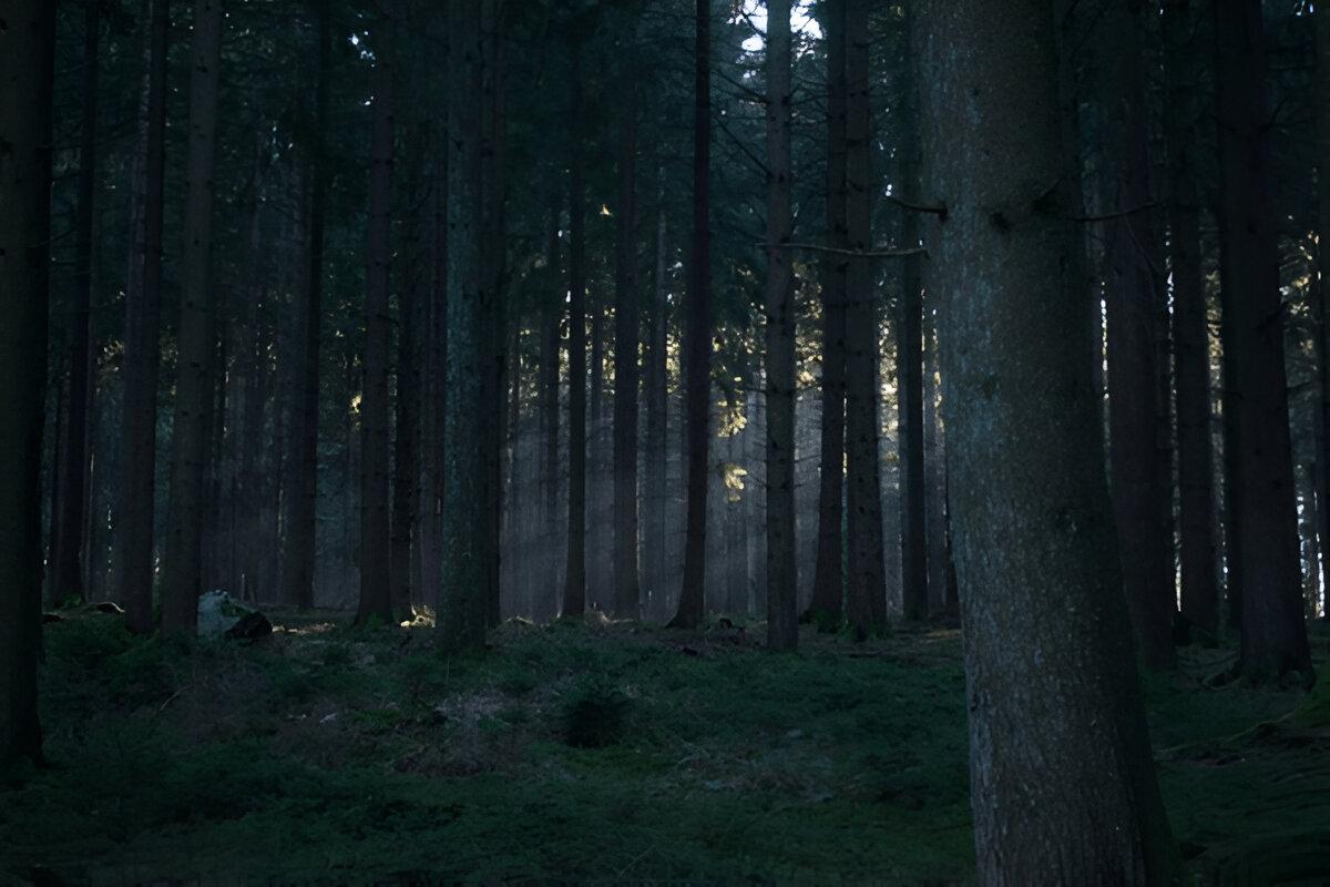 A clean image without a watermark.