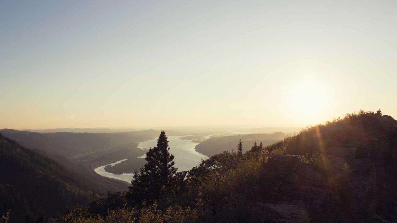 Abstract digital art representing AI creativity